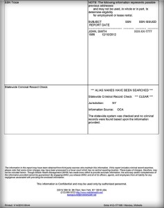 Background Check Report